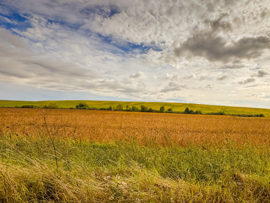 Landschaftsaufnahme mit Feldern und eindrucksvoll bewölktem Himmel